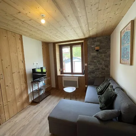 Le Cocon Bressaud Apartment La Bresse